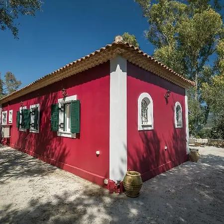 Aelia Agios Dimitrios (Zakynthos)